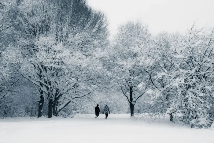 Framed Print : Woods in Snow, England