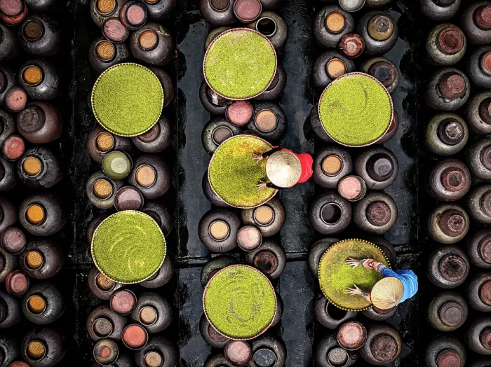 Framed Print : Workers arranging fermented soybeans in clay jars, Hanoi, Vietnam. (MR) Framed Print : Workers arranging fermented soybeans in clay jars, Hanoi, Vietnam. (MR)