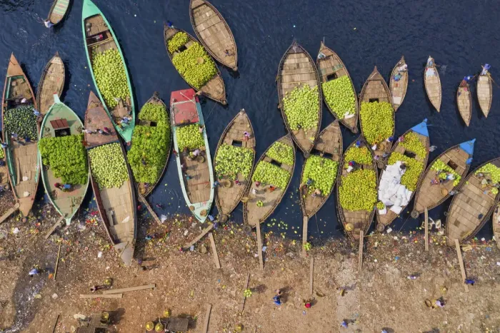 Framed Print : Workers unload watermelons from the boats using big baskets, Sadarghat, Dhaka, Bangladesh Framed Print : Workers unload watermelons from the boats using big baskets, Sadarghat, Dhaka, Bangladesh