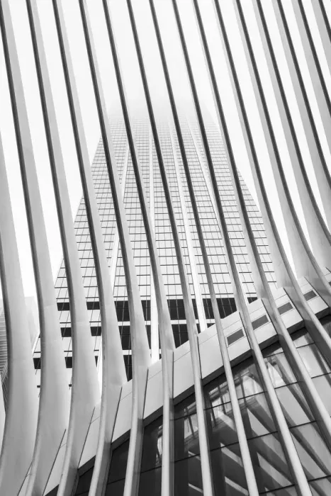 Framed Print : World Trade Center station (PATH) AKA The Oculus, Manhattan, New York City, USA Framed Print : World Trade Center station (PATH) AKA The Oculus, Manhattan, New York City, USA