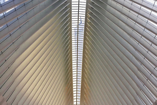 World trade centre towering above the terminal, New York, USA