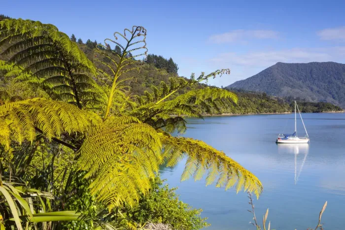 Framed Print : Yacht anchored in the picturesque Kenepuru Sound, Marlborough Sounds, South Island