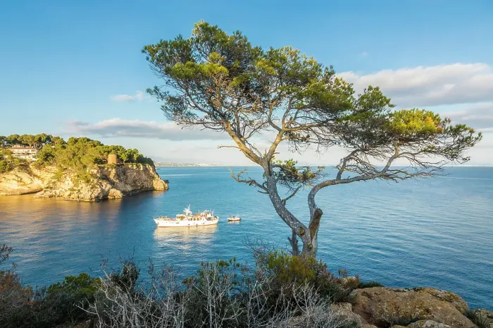 Framed Print : Yacht at the entrance to Cala Portals Vells, Mallorca, Balearic Islands, Spain Framed Print : Yacht at the entrance to Cala Portals Vells, Mallorca, Balearic Islands, Spain