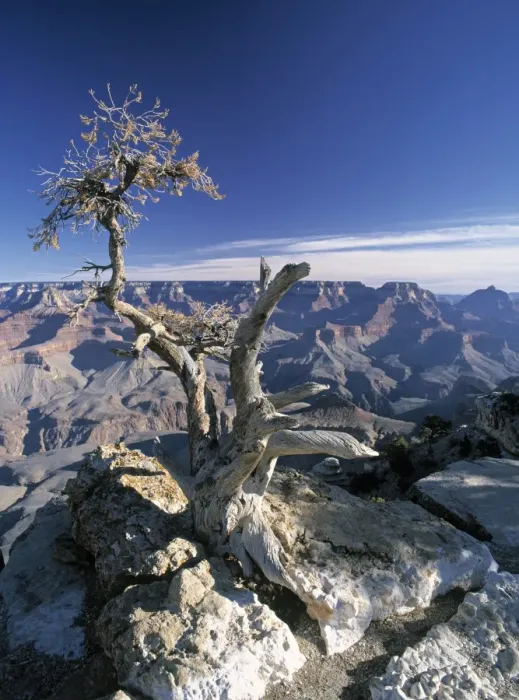 Framed Print : Yaki Point Framed Print : Yaki Point
