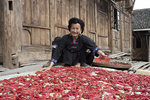 Yao lady drying chillies, Longji, China