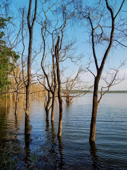 Framed Print : Yaxha Lake at Yaxha Archaeological Site, Peten Department, Guatemala