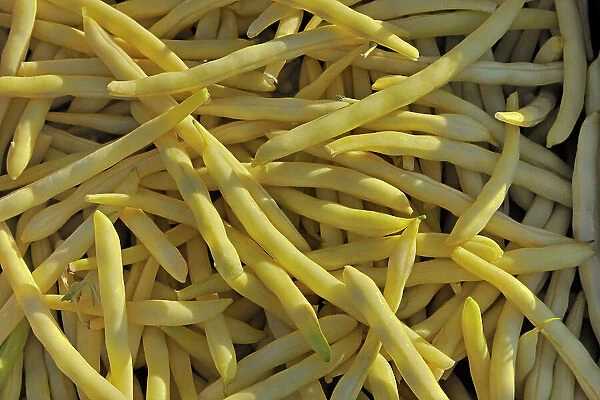 Yellow beans at farmer's market Winnipeg, Manitoba, Canada