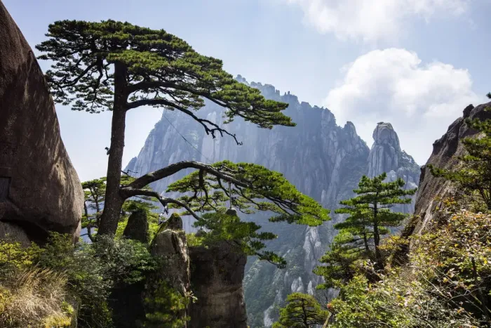 Framed Print : Yellow Mountains, Huangshan, Anhui, China (UNESCO World Heritage Site) Framed Print : Yellow Mountains, Huangshan, Anhui, China (UNESCO World Heritage Site)