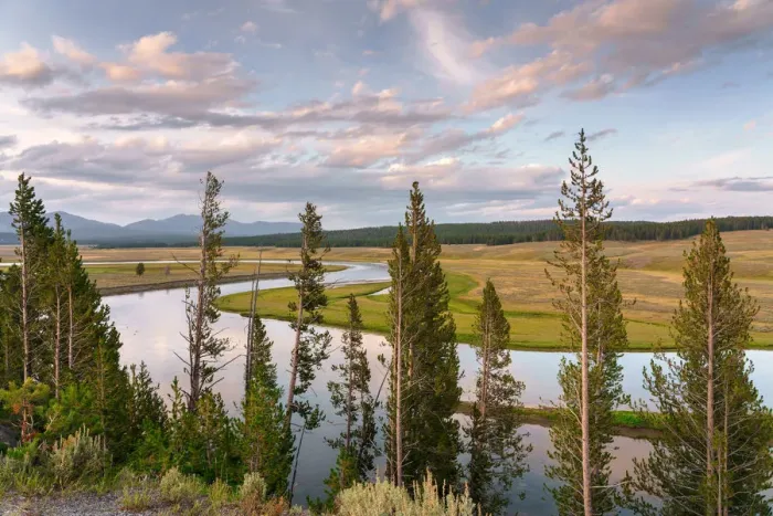 Framed Print : Yellowstone River in Lamar Valley at sunset, Yellowstone National Park, Wyoming, Usa Framed Print : Yellowstone River in Lamar Valley at sunset, Yellowstone National Park, Wyoming, Usa