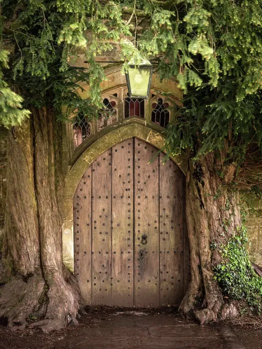 Framed Print : Yew trees surrounding the church door at St Edwards Church, Stow on the Wold in the Cotswolds, Gloucestershire, England. Spring (May) 2021 Framed Print : Yew trees surrounding the church door at St Edwards Church, Stow on the Wold in the Cotswolds, Gloucestershire, England. Spring (May) 2021