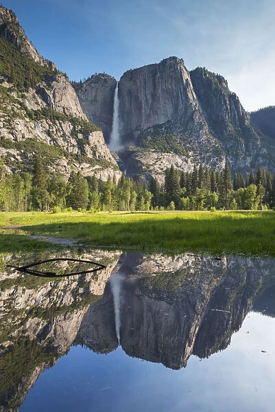 Yosemite Falls reflected in a meadow flood pool in Yosemite Valley, California, USA