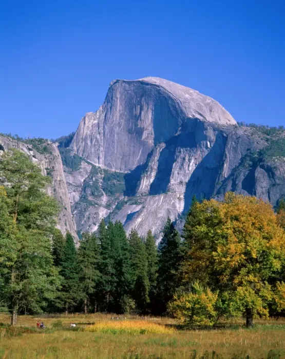 Framed Print : Yosemite National Park / Half Dome & Autumn Leaves, California, USA Framed Print : Yosemite National Park / Half Dome & Autumn Leaves, California, USA