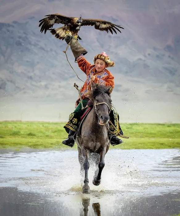 Framed Print : Young Kazakh Eagle hunter galloping through water on horseback with his trained golden eagle, Bayan-Ulgii Province, Western Mongolia, Asia