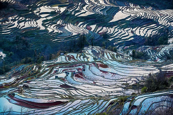 Yuangyang Rice Terraces at Bada, China