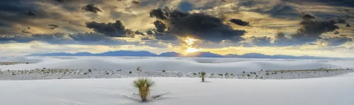Framed Print : Yucca Plants, White Sands National Monument, Alamogordo, New Mexico, USA