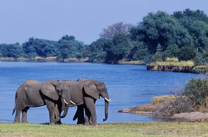 Framed Print : Zambia, Lower Zambezi National Park Framed Print : Zambia, Lower Zambezi National Park