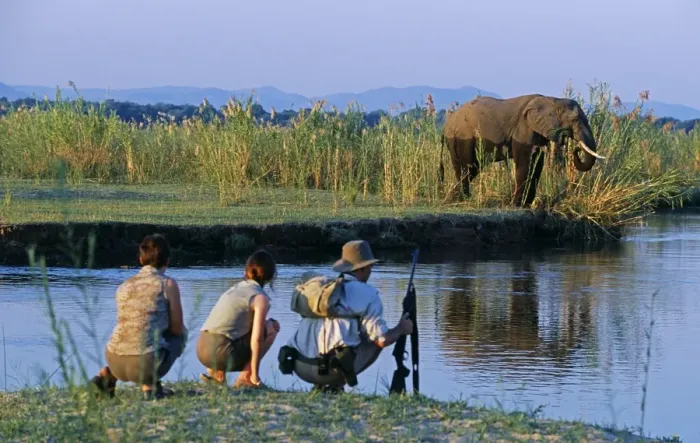 Framed Print : Zambia, Lower Zambezi National Park Framed Print : Zambia, Lower Zambezi National Park
