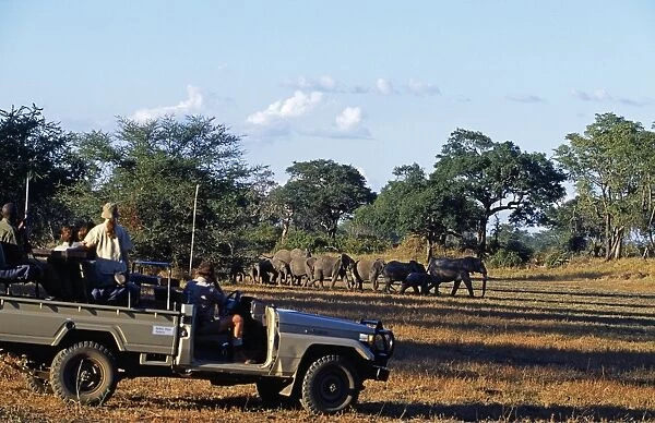 Zambia, South Luangwa National Park