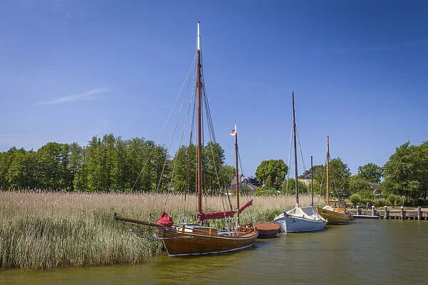 Zeesen boats in the Boddenhafen of Born am Darss, Mecklenburg-Western Pomerania