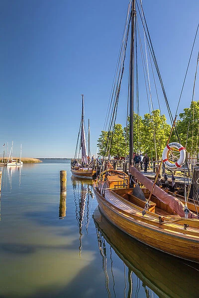 Zeesenboote in the Bodden harbour of Althagen, Mecklenburg-Western Pomerania, Baltic Sea, Northern Germany, Germany