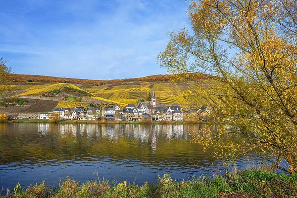 Zell-Merl, Mosel valley, Rhineland-Palatinate, Germany