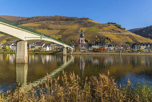 Zell, Mosel valley, Rhineland-Palatinate, Germany