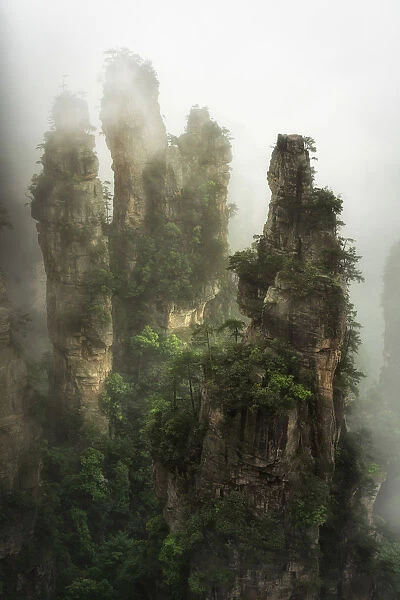 Zhangjiajie national forest park, Zhangjiajie, Hunan, China
