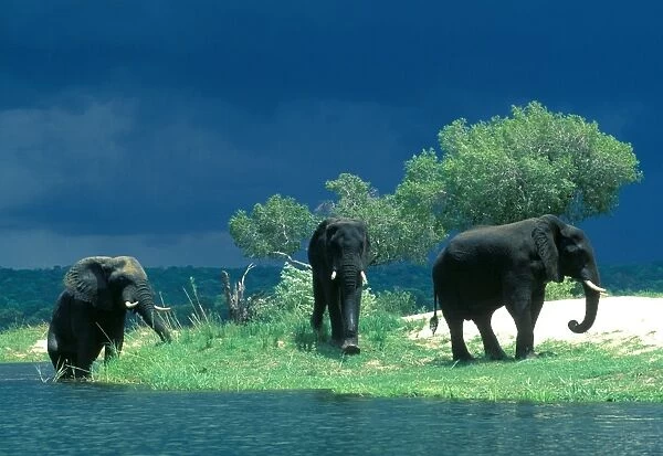 Zimbabwe, Zambezi River