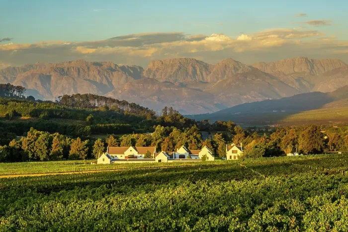 Framed Print : Zorgvliet Wine Estate, Stellenbosch, Western Cape, South Africa