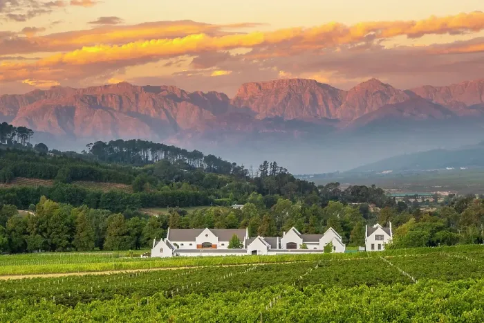 Framed Print : Zorgvliet Wine Estate, Stellenbosch, Western Cape, South Africa