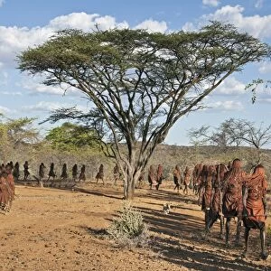 After 2-3 months seclusion, Pokot initiates leave their camp in single file to celebrate Ngetunogh