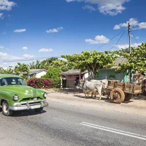 50s American car passing Ox and cart, Pinar del Rio Province, Cuba