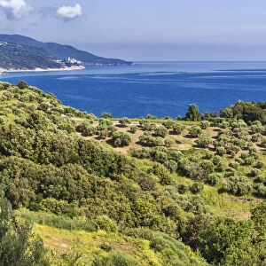 Aegean sea coast, Mount Athos, Athos peninsula, Greece