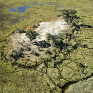 An aerial photograph of the Okavango Delta