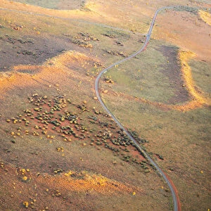 Aerial View of the australian outback at sunrise. Northern Territory