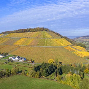 Aerial view at the Ayler Kupp vineyard near Saarburg, Rhineland-Palatinate, Germany