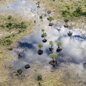 Aerial view of Khwai River, Okavango Delta, Botswana, Africa