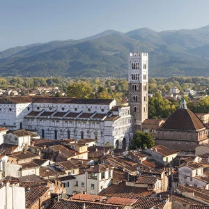 Aerial view of Lucca Cathedral and the walled city, Lucca, Tuscany, Italy