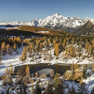 Aerial view of Mufule Lake and Mount Disgrazia surrounded by autumnal larches and snow