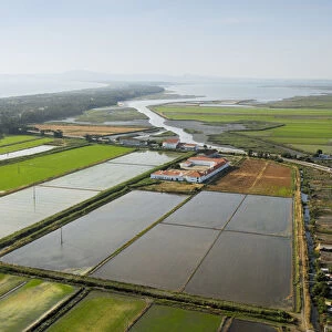 Aerial view of rice fields. Comporta, Alentejo, Portugal