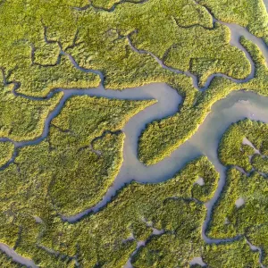 Vista aerea delle palafitte di sale vicino al fiume Camels presso la città di Wadebridge in Cornovaglia, Inghilterra Vista aerea delle palafitte di sale vicino al fiume Camels presso la città di Wadebridge in Cornovaglia, Inghilterra
