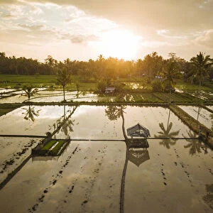 Aerial View of Sunset over Rice Fields near Sidemen, Bali, Indonesia