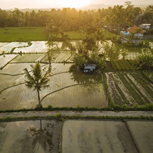 Aerial View of Sunset over Rice Fields near Sidemen, Bali, Indonesia