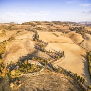 Aerial View of Tuscany's Iconic Cypress Trees Print