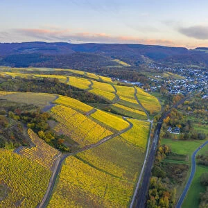 Aerial view at Vineyards with Wiltingen, Saar valley, Hunsruck, Rhineland-Palatinate, Germany