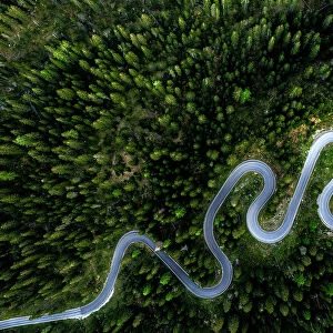 Aerial view of winding mountain road through a forest in spring, Giau Pass, Dolomites, Veneto, Italy