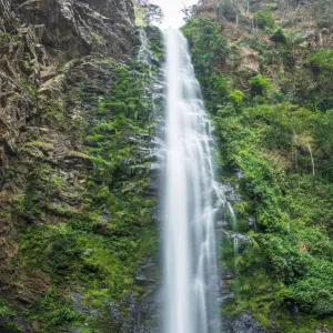 Africa, Ghana, Volta Region. the Wli waterfall