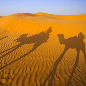 Africa, Tunisia, Ksar Ghilane Desert Oasis