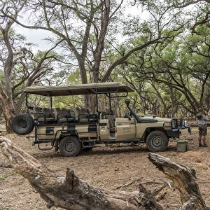 Africa, Zimbabwe, Hwange National park. Coffee break in the acacia forest during