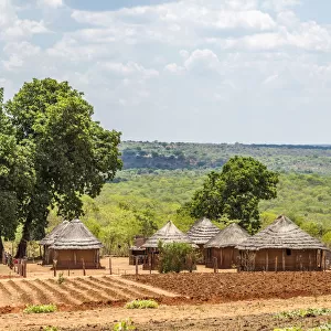 Africa, Zimbabwe, Matabeleland north. A traditional rural homestead